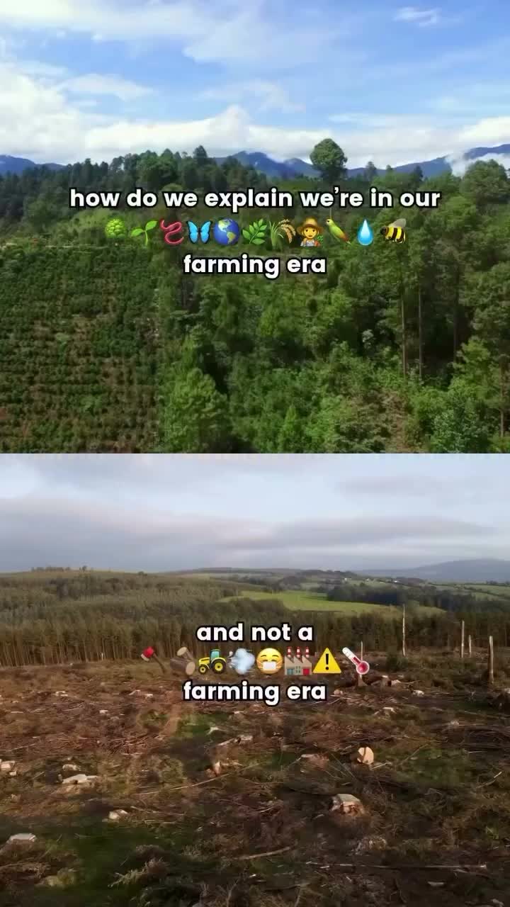 Video post from econestph.