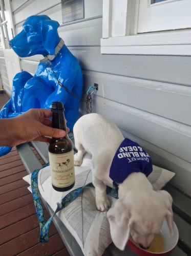 Photo post from gundogestate.