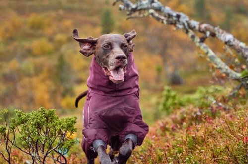 Carousel post from hurttakorea.