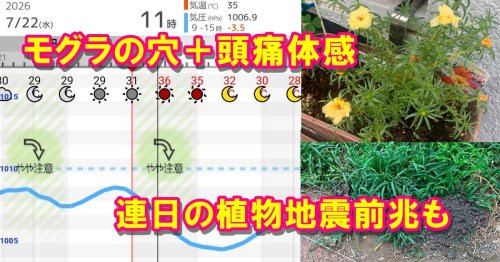 Photo post from nmomose.