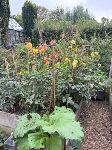 Photo post from gardenhousebrighton.