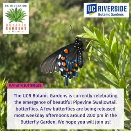 Video post from ucrbotanicgardens.