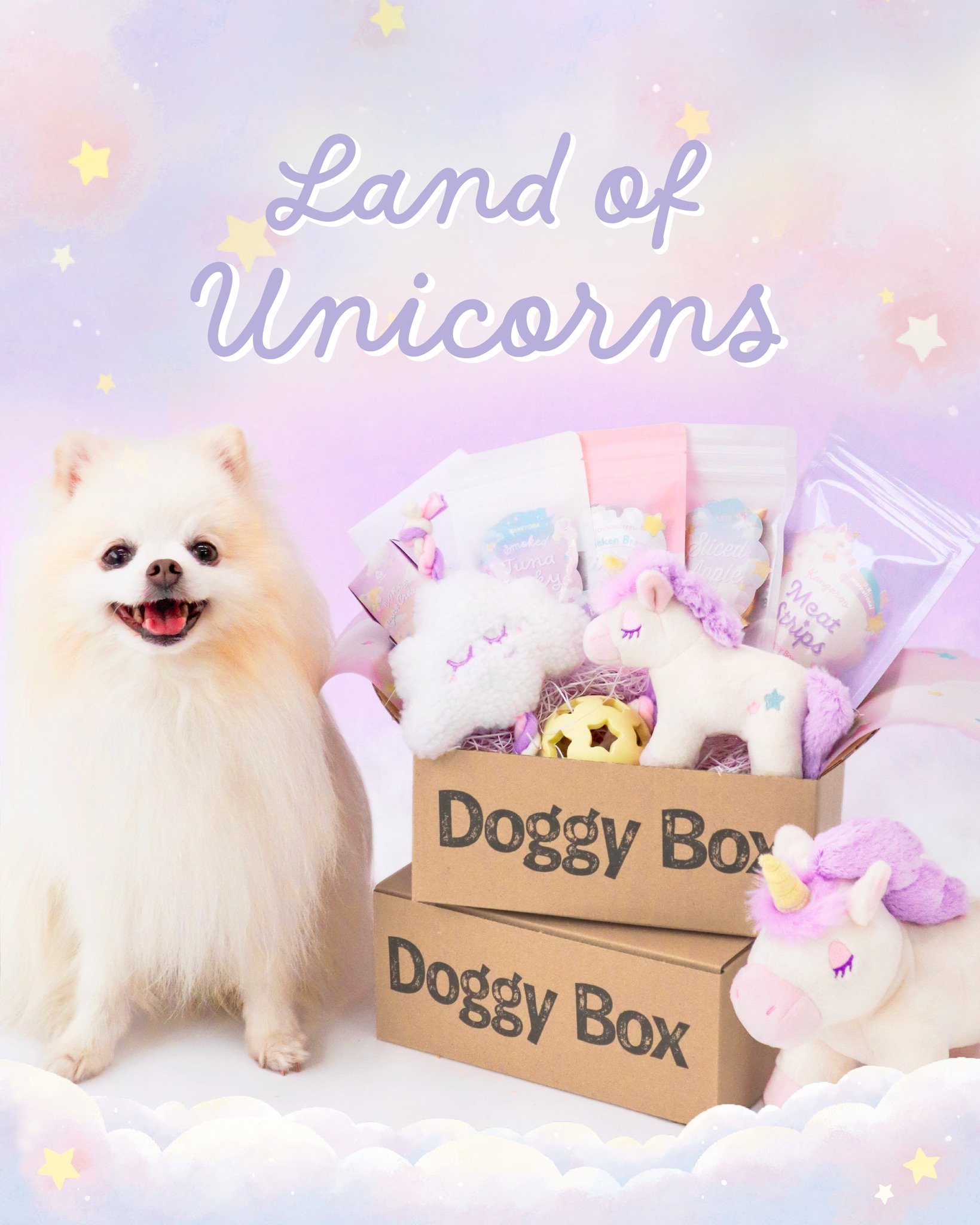 Doggy Box | ワンちゃんのためのワクワク定期便