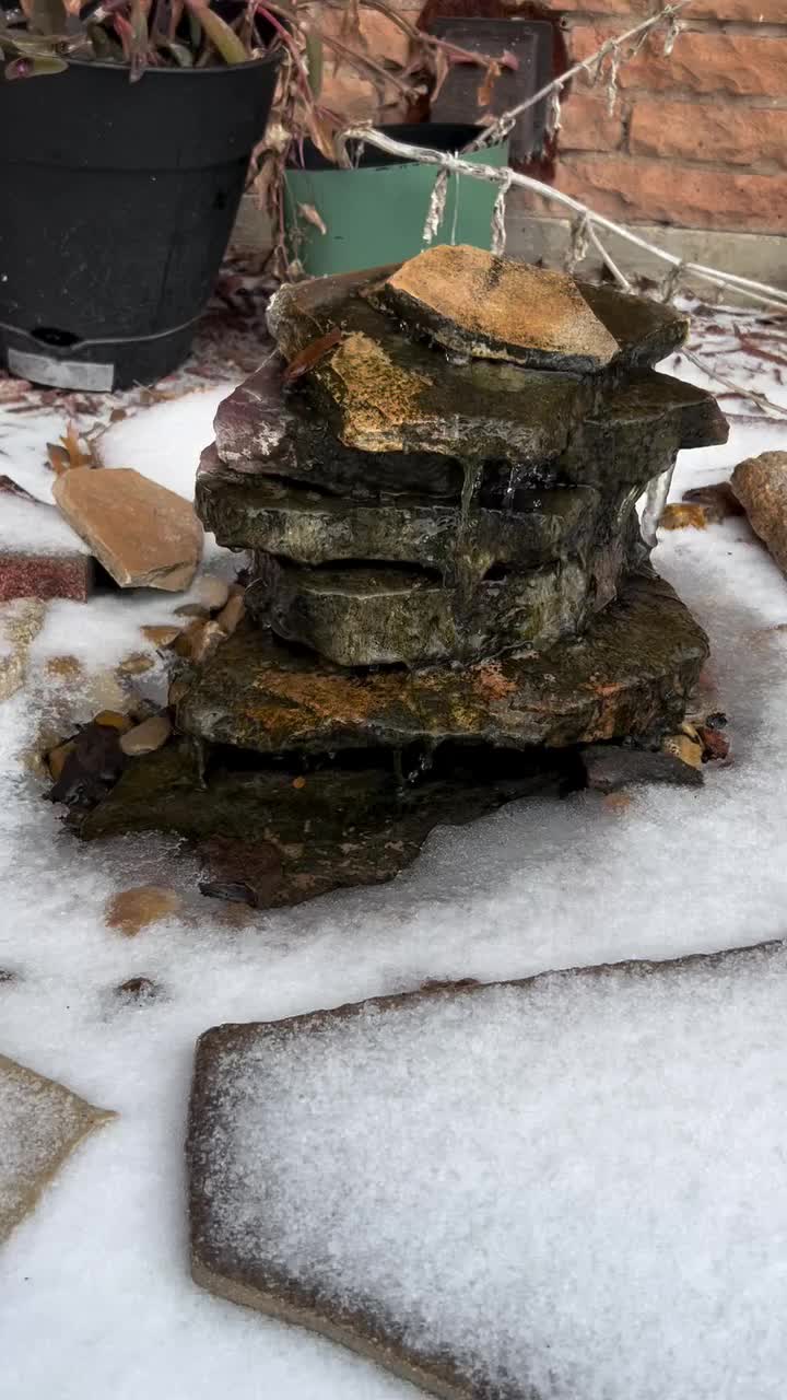 Video post from karisgardenatx.