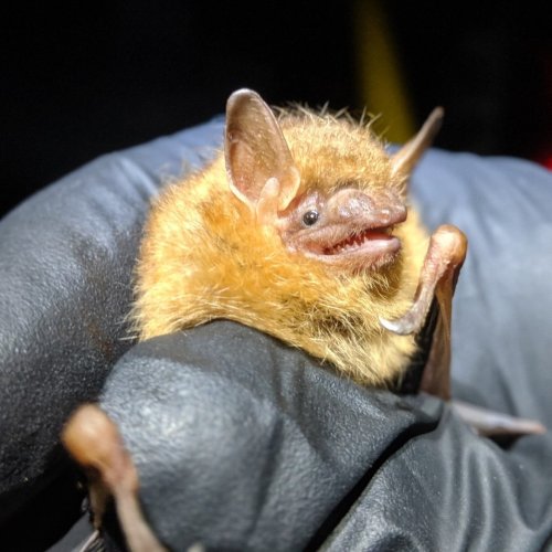 Carousel post from copperheadconsulting.