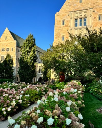 Photo post from bostoncollege.