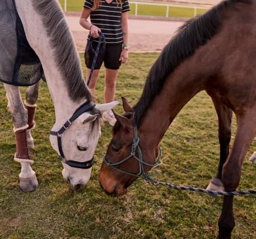 Photo post from fei_global.