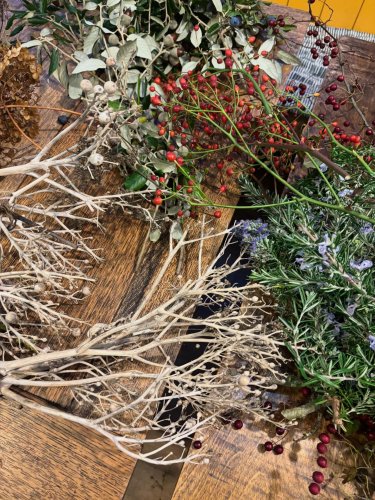 Carousel post from gardenhousebrighton.