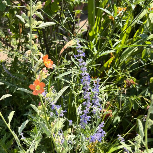 Photo post from gardenhousebrighton.