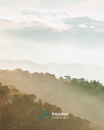 Photo post from troodoshotel.