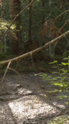 Video post from bertsmegamall.