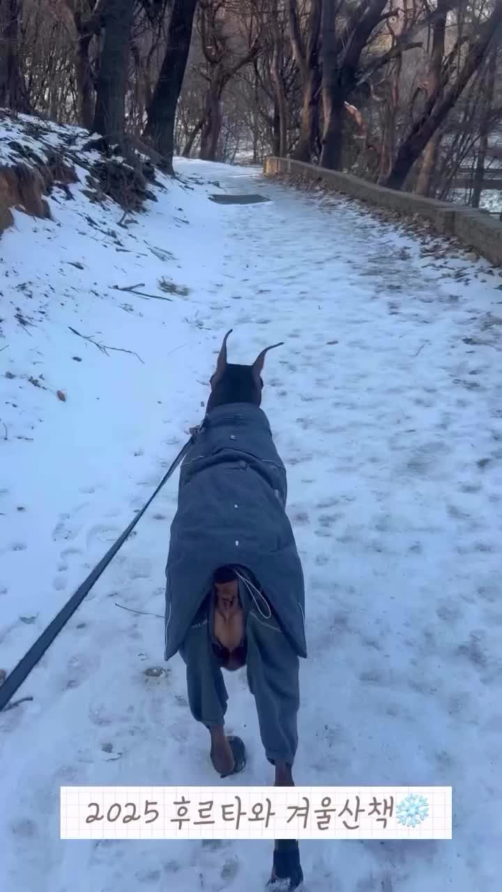 Video post from hurttakorea.