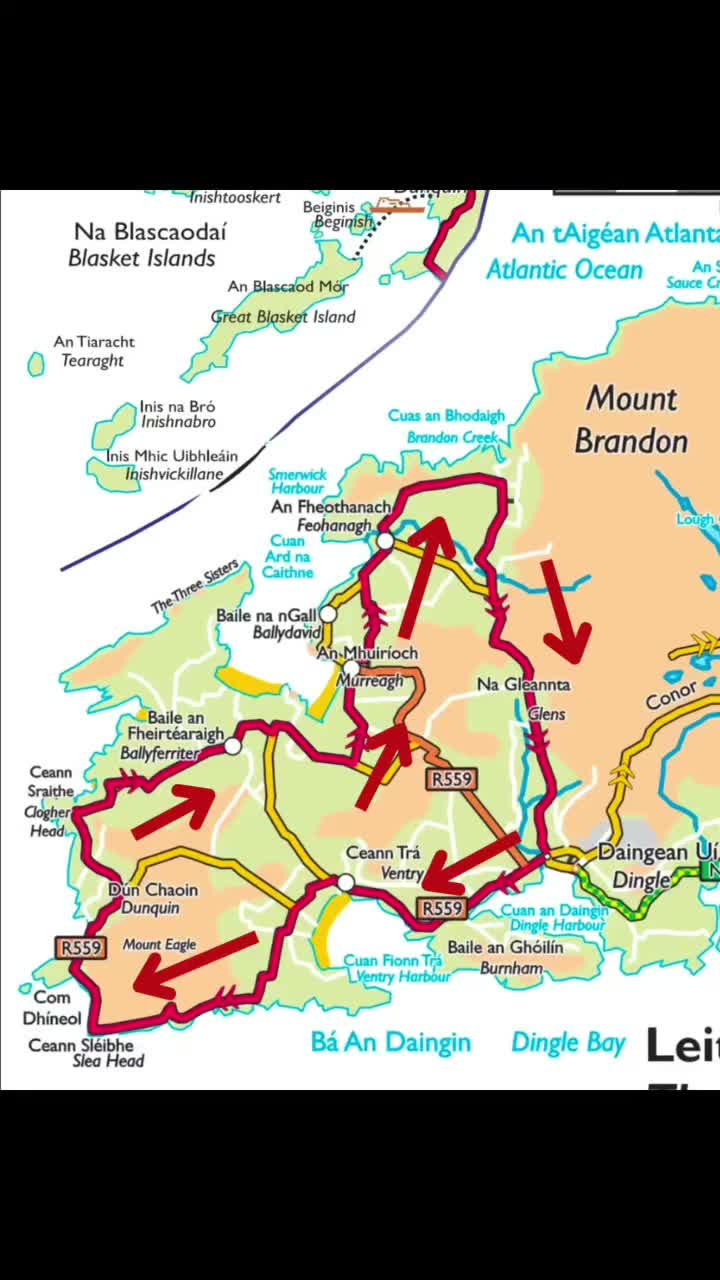 Video post from dinglepeninsulatourism.