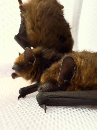 Photo post from marina_natalie.