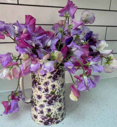 Photo post from gardenhousebrighton.
