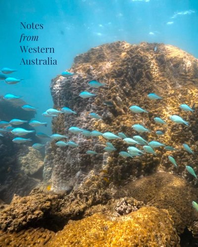 Carousel post from bluesky.escapes.