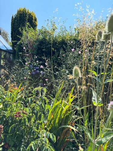 Photo post from gardenhousebrighton.