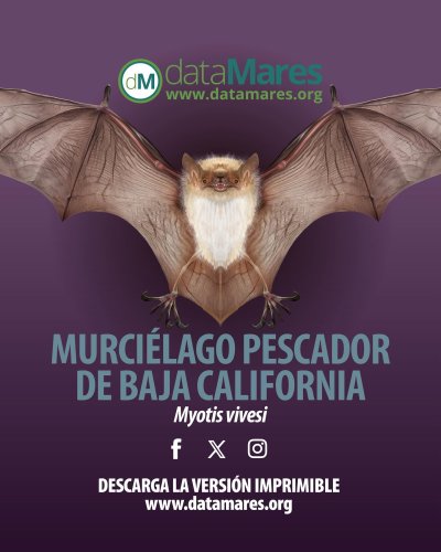 Carousel post from datamares_.