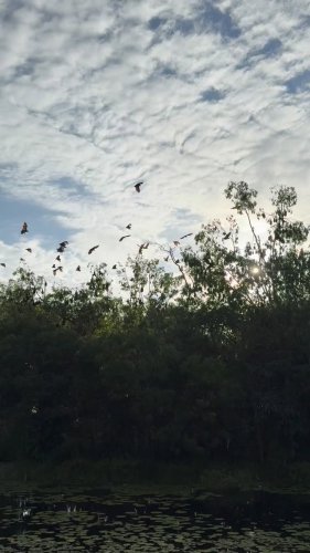 Video post from soul_words_eve_fylan.