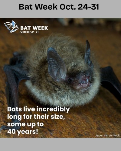 Photo post from maryestherlibrary.