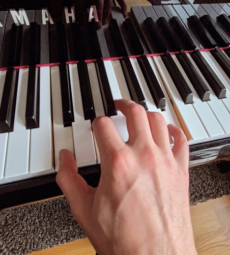 Photo post from davidcarbe.