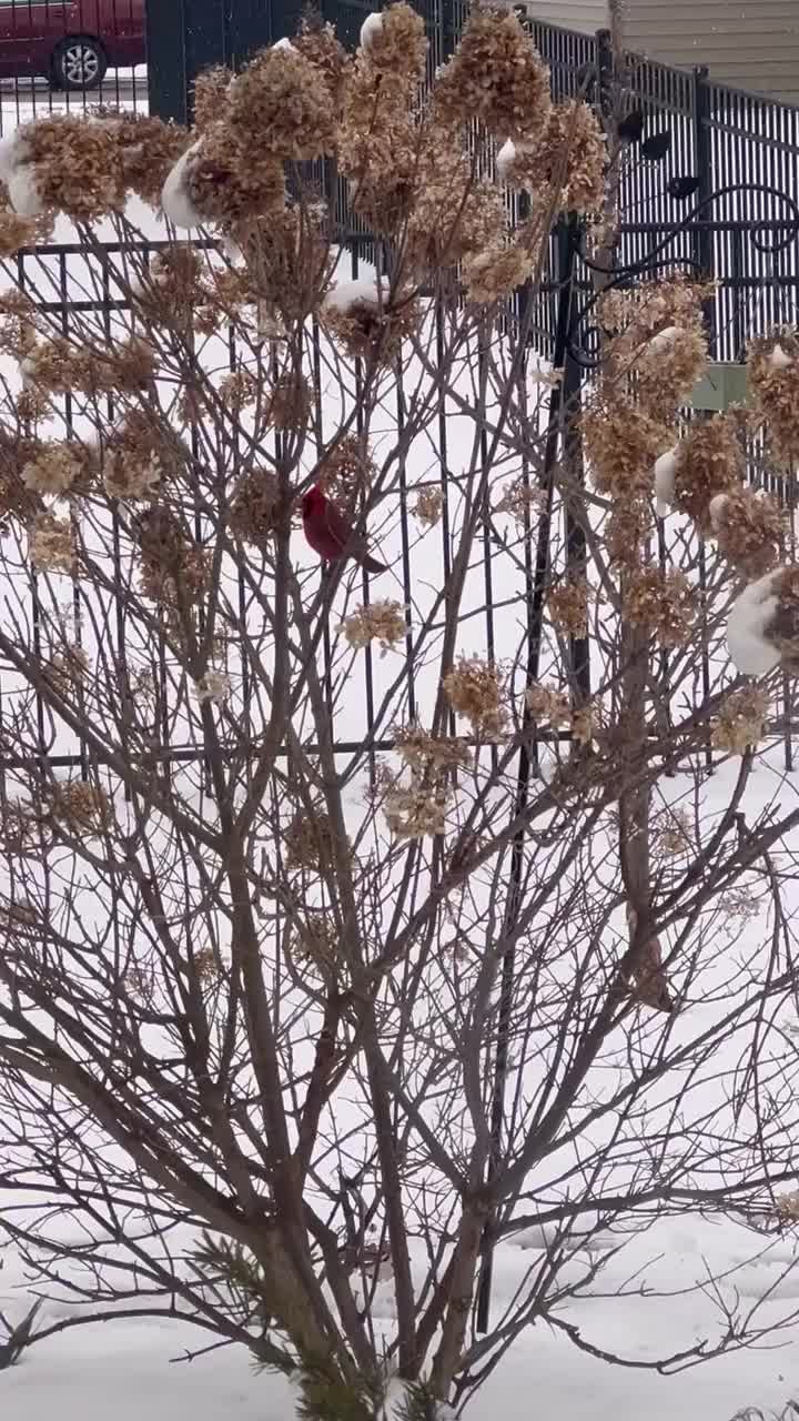 Video post from grow_with_keerthi.