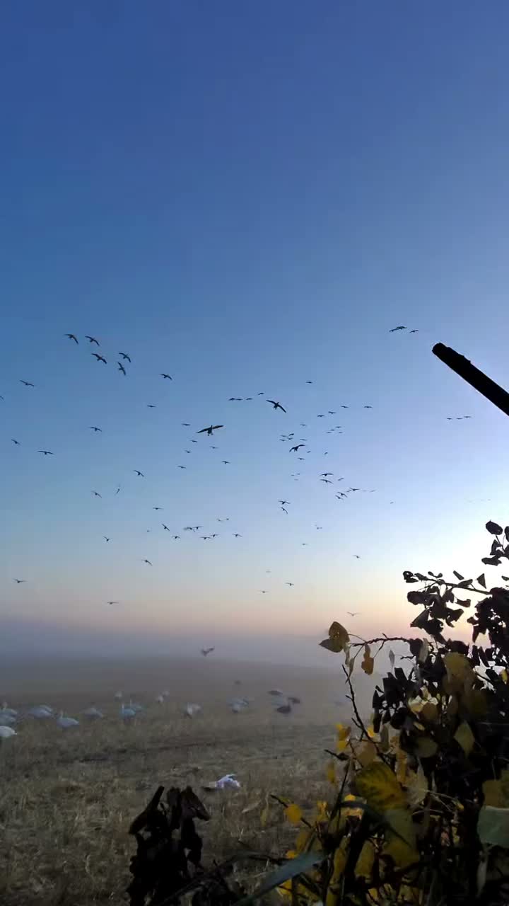 Video post from northernskiesoutfitters.