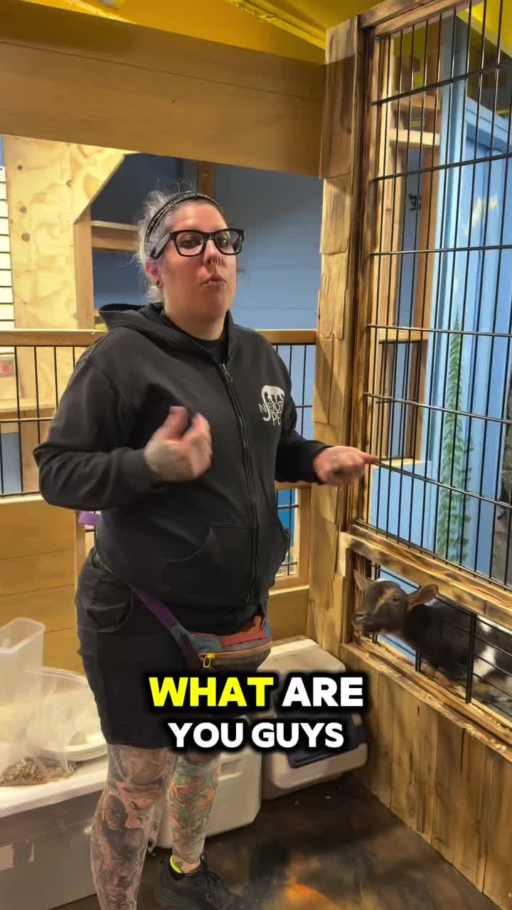 Video post from njexoticpets.