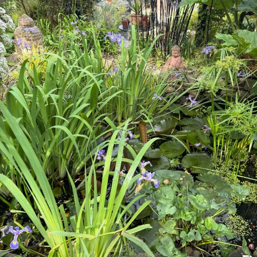 Photo post from gardenhousebrighton.