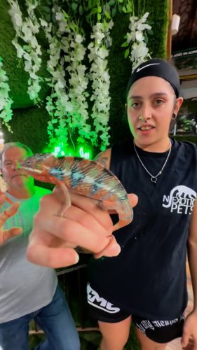 Video post from njexoticpets.
