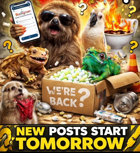 Photo post from njexoticpets.