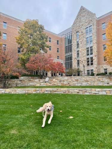 Photo post from bostoncollege.