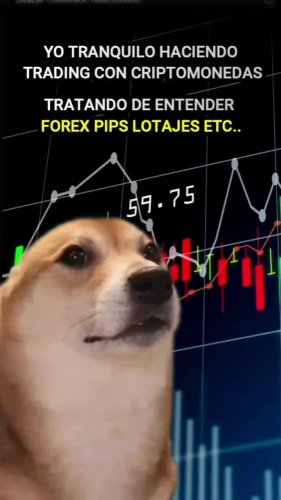 Video post from criptofacilplus.