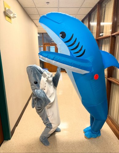 Carousel post from ugawarnell.