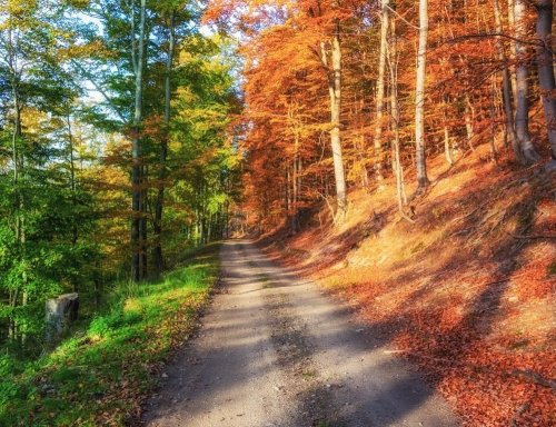 Photo post from northlandbrew.