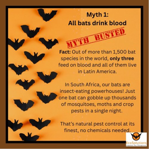 Carousel post from ecosolutionssa.