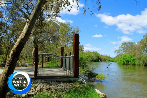 Photo post from alburycity.