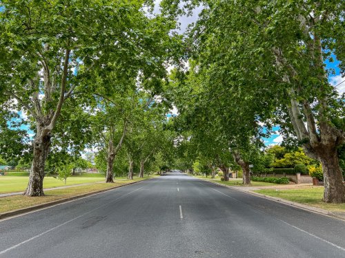 Photo post from alburycity.