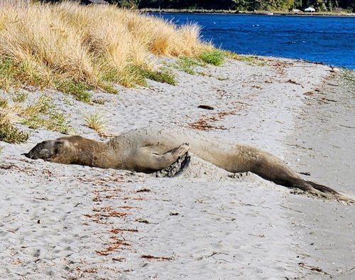 Photo post from theresortatportludlow.