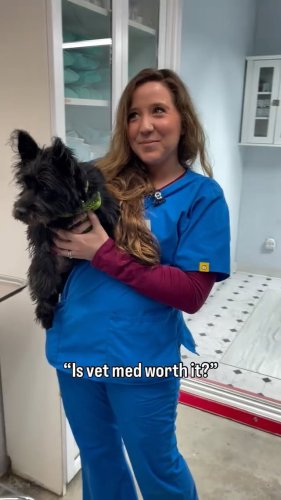 Video post from familyanimalhospitalcm.
