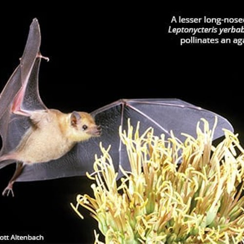 Photo post from shears.rick.