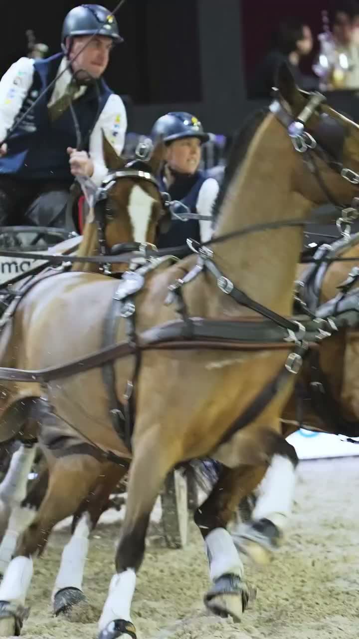 Video post from fei_global.