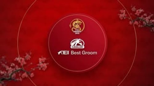 Video post from fei_global.