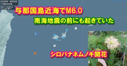 Photo post from nmomose.