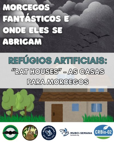 Carousel post from projetomorcegosnapraca.