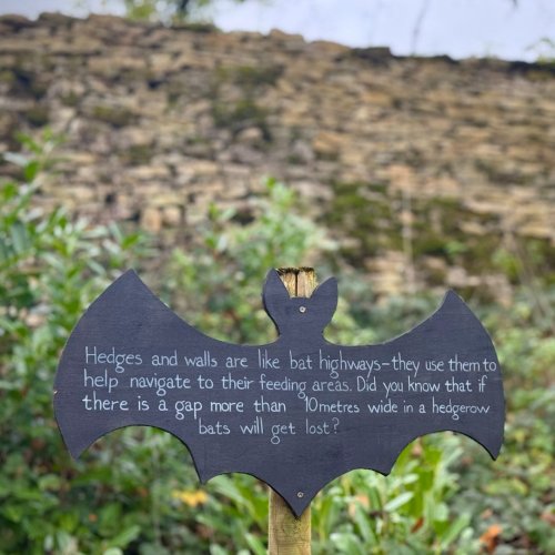 Carousel post from batsrts.