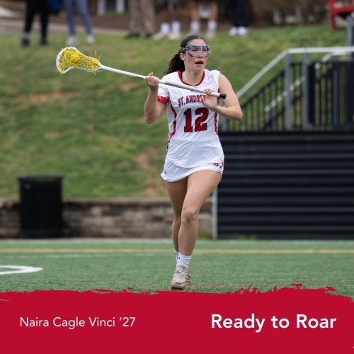 Carousel post from saeslions.