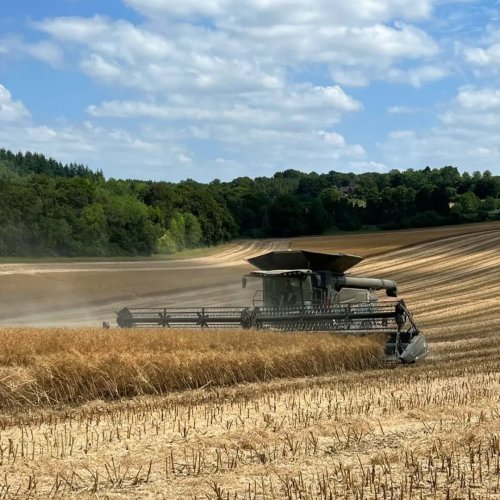 Photo post from crowmarshbattlefarms.