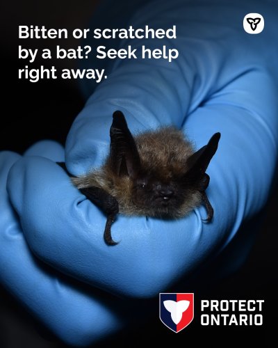 Photo post from onresources.