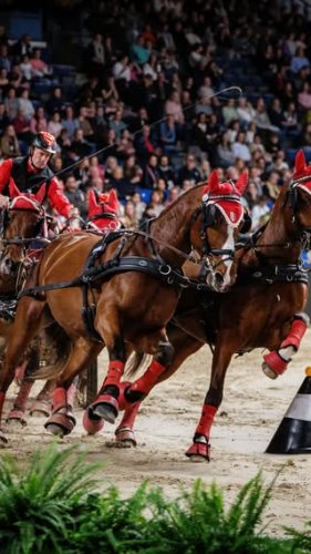 Video post from fei_global.